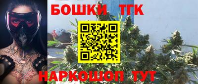 тгк Обь