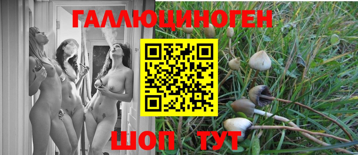 Псилоцибиновые грибы прущие грибы  Вход с VPN  Приморско-Ахтарск 